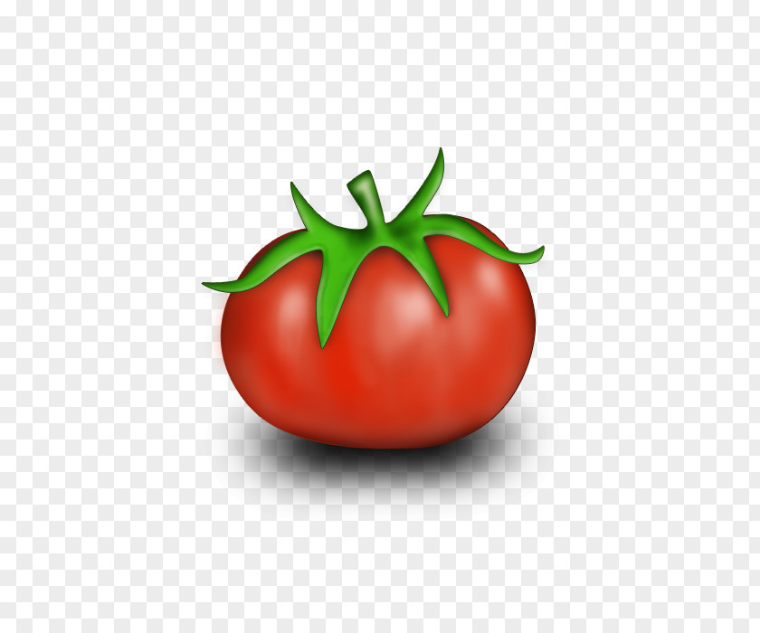 Cartoon Tomato Plum Bush Plant PNG