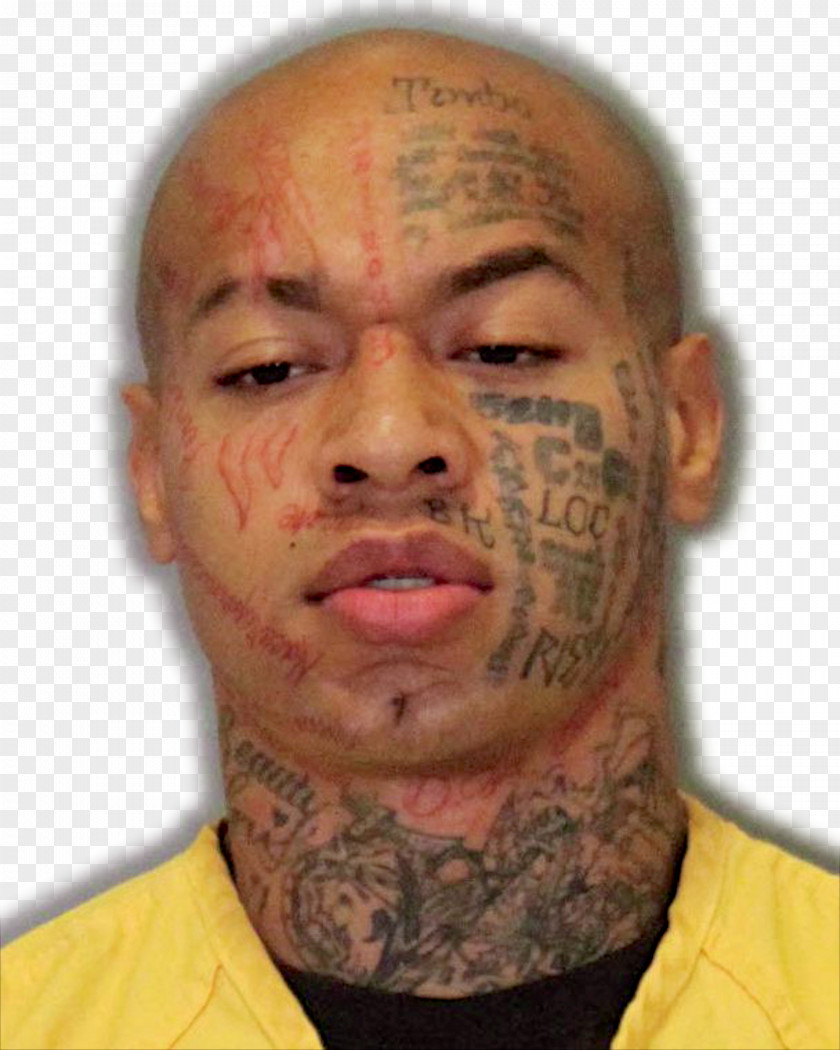 Green Homes Logo Nikko Jenkins Nebraska Murder Spree Killer Court PNG