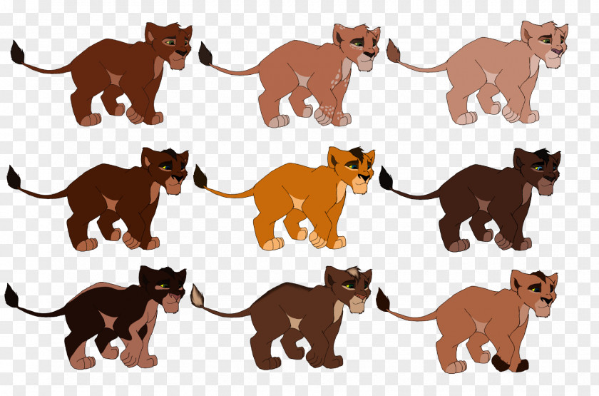 Male Lion Drawings Big Cat The King Mammal PNG