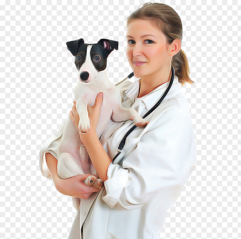 Stethoscope Italian Greyhound PNG