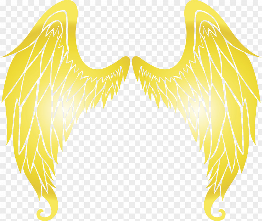 Wing Yellow Costume Accessory PNG