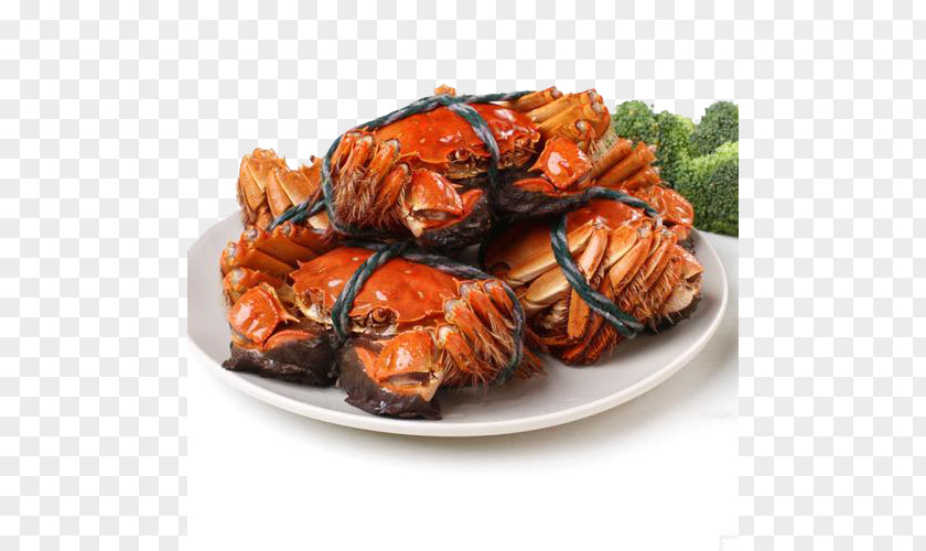Yangcheng Lake Hairy Crabs Crab Seafood Lobster Prawn PNG
