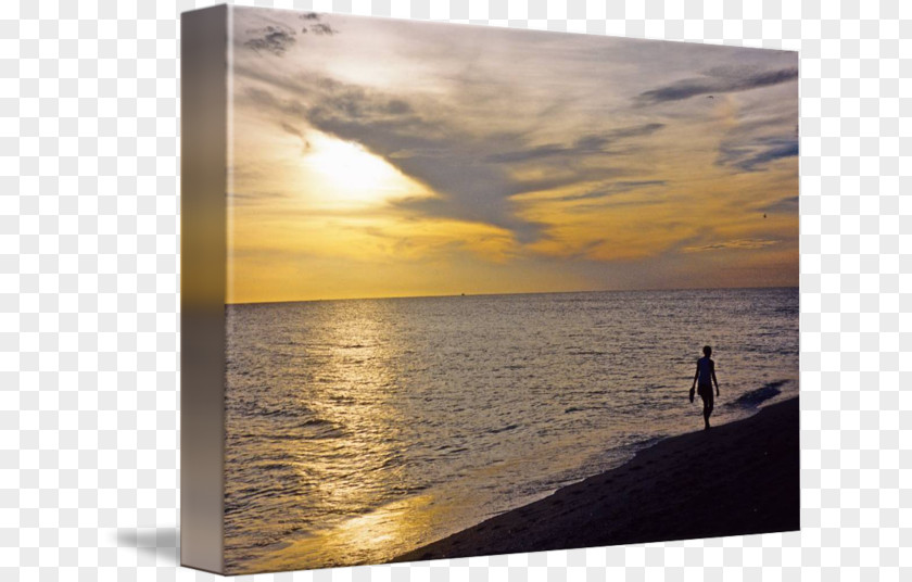 Beach Sunset Sea Stock Photography Heat Vacation PNG