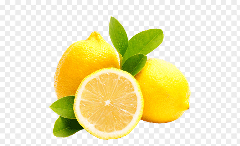 Lemon Slice Essential Oil Olive Citroenolie PNG