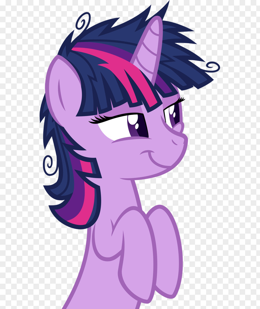 Messy Images Twilight Sparkle Rarity Rainbow Dash My Little Pony PNG