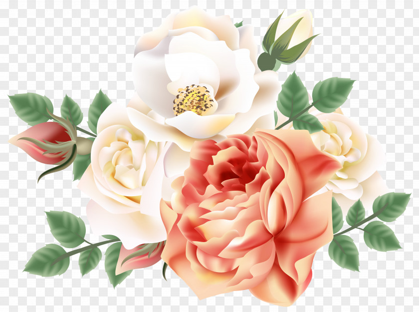 Roses Decoration Clip Art Image PNG