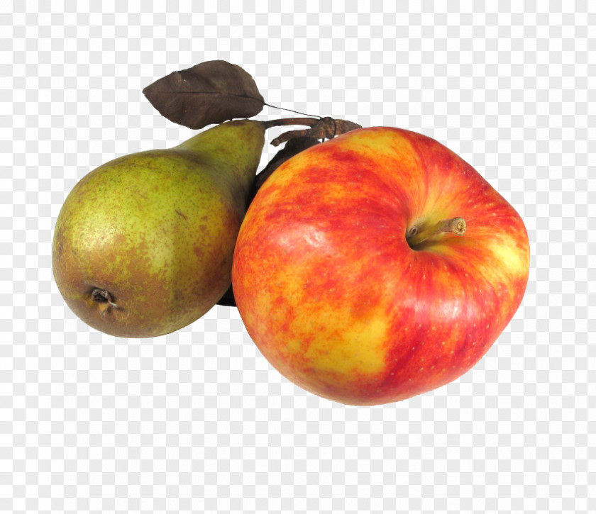 Apples And Pears Mespilus Amygdaloideae Pear PNG