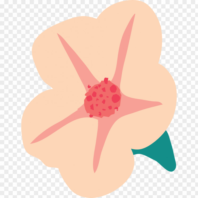 Design Pink M Flowering Plant Clip Art PNG