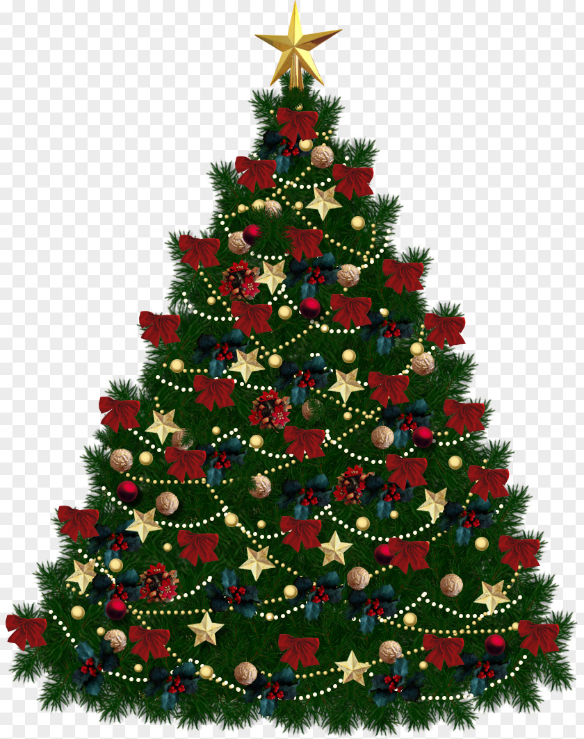 Fir-tree Image Christmas Tree Clip Art PNG