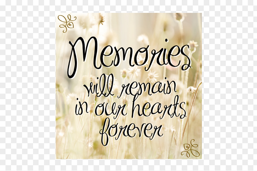 Good Memories Condolences Condolence Book Sympathy Funeral Death PNG