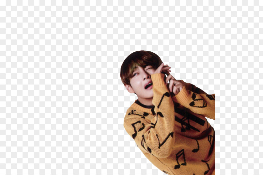 Kim Taehyung BTS Shoe PNG