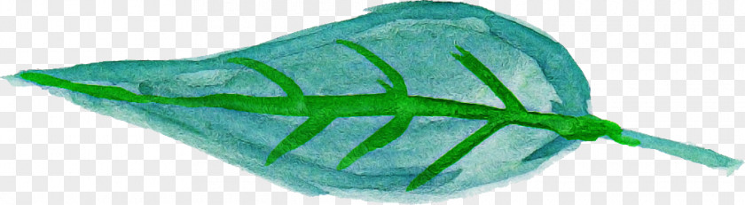 Leaf Fish Green Science Plant PNG