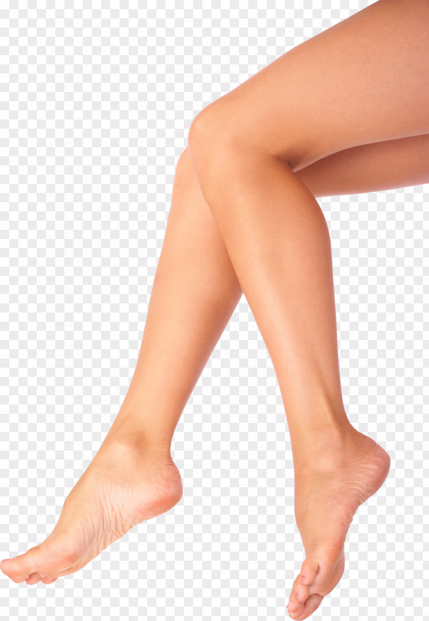 Legs PNG clipart PNG