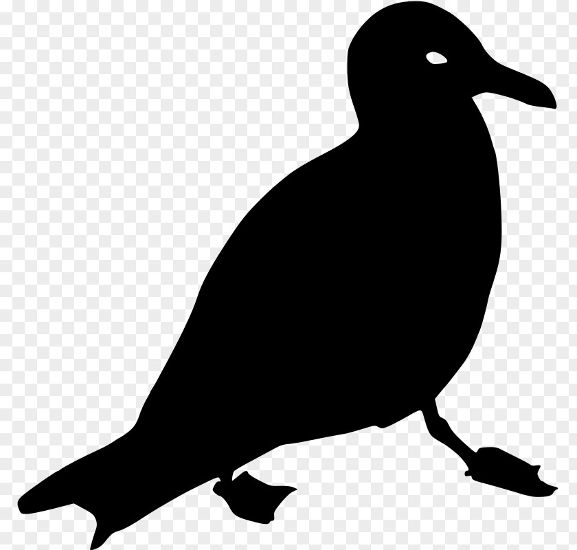 Gulls Clip Art PNG