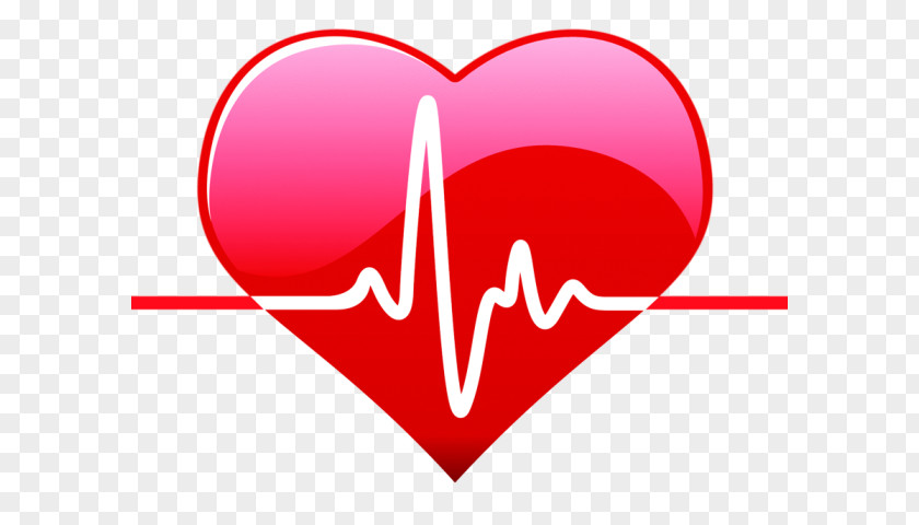 Heart Rate Cardiovascular Disease American Month Health PNG