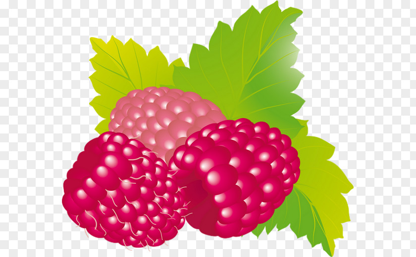Raspberries Raspberry Fruit Boysenberry Strawberry PNG
