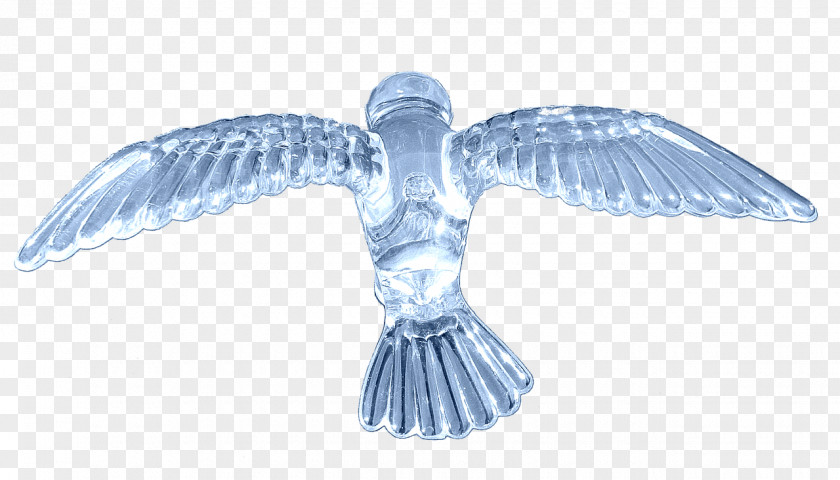 Bird Feather Beak PNG