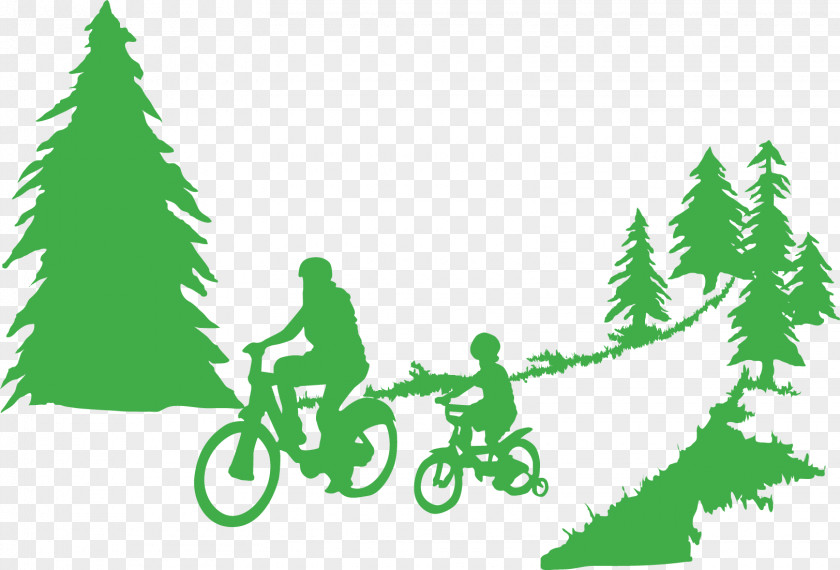 Forest Park Tree Clip Art PNG