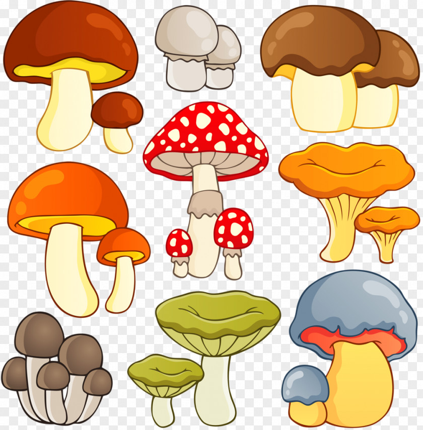 Mushroom Vector Graphics Drawing Clip Art Illustration PNG