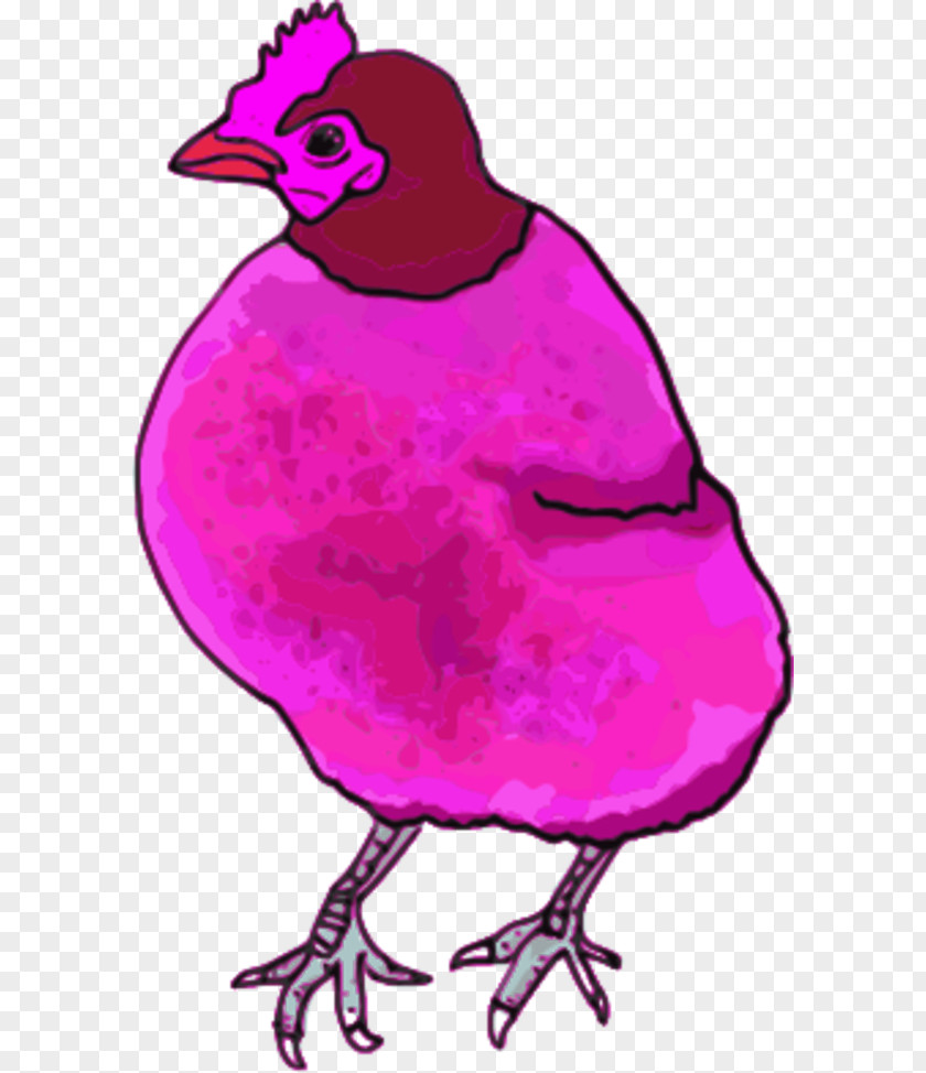 Pink Chicken Cliparts The Little Red Hen Rooster Clip Art PNG