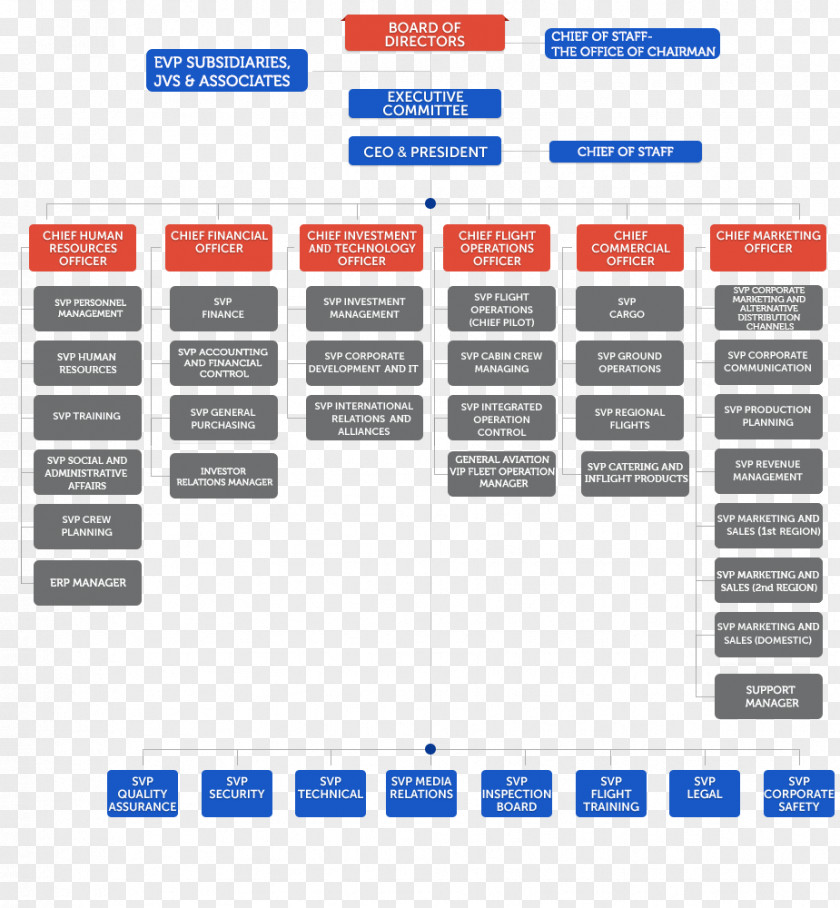 Beer Pale Ale Organizational Chart PNG