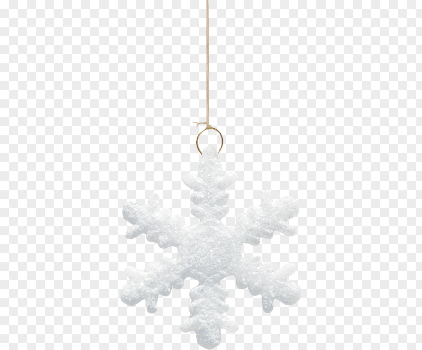 Christmas Ornament Holiday Green March New Year PNG