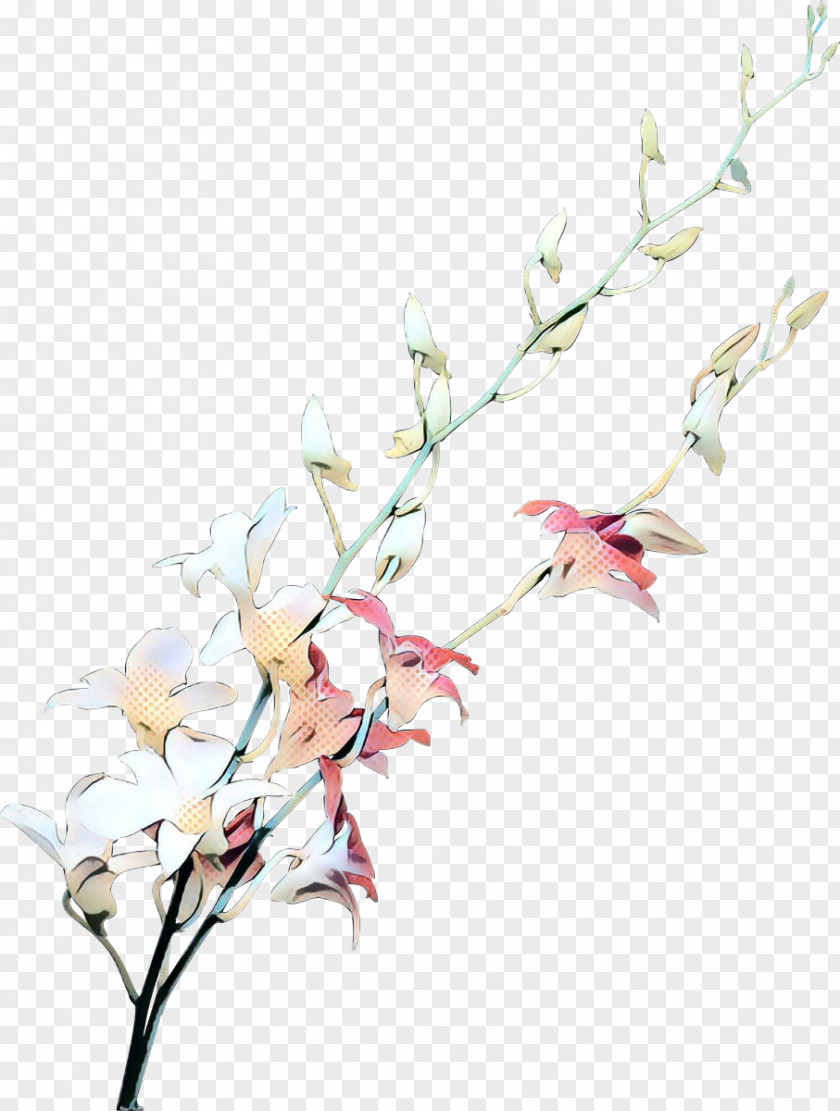 Gladiolus Dendrobium Cherry Blossom Cartoon PNG