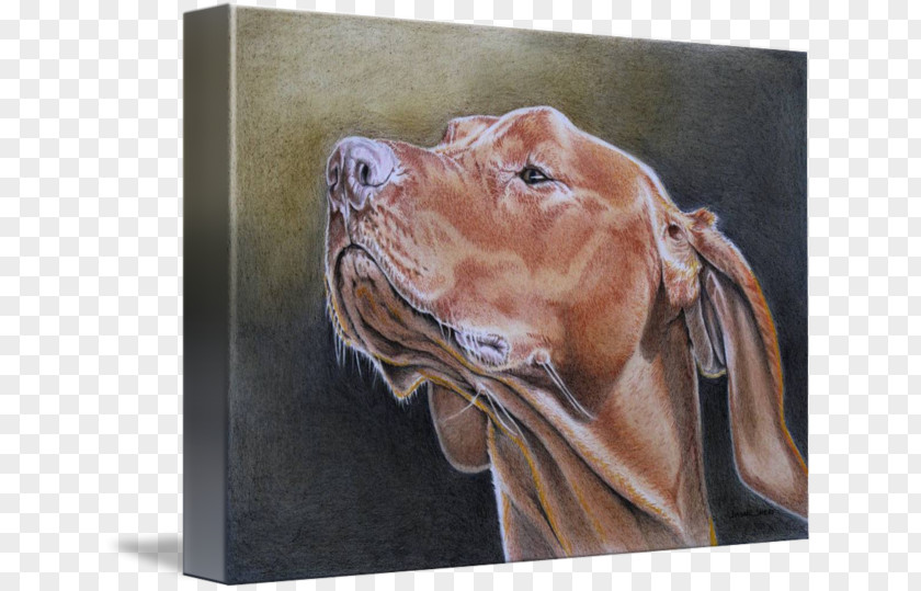 Painting Vizsla Weimaraner Gallery Wrap Canvas PNG