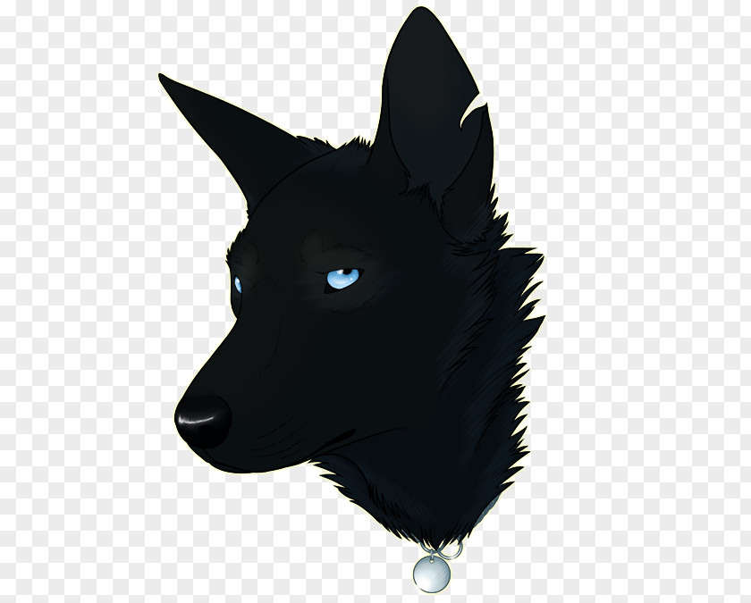 Sully Dog Breed Schipperke Whiskers Snout Fur PNG