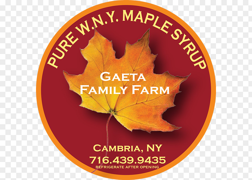Vermont Farmhouse Maple Leaf Thanksgiving Font PNG