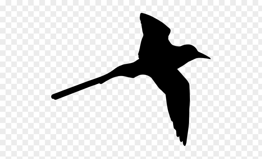 Bird Flight Shape Swallow PNG