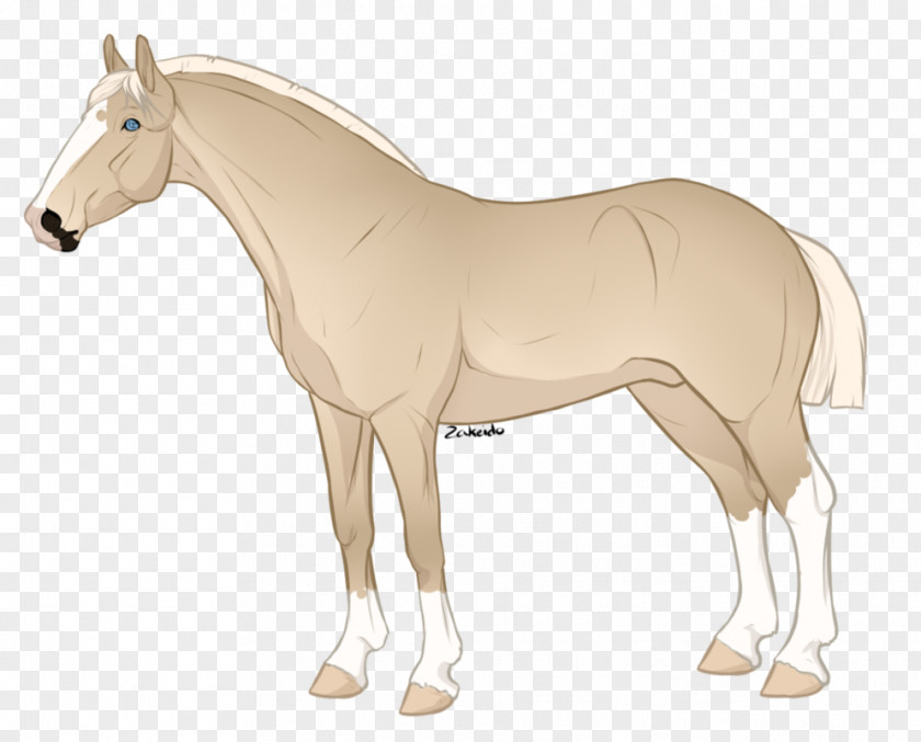 Brazilian Sport Horse Vector Graphics Clip Art Illustration Image Drawing PNG