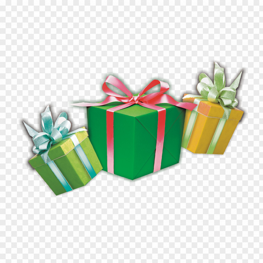 Gift Green Icon PNG