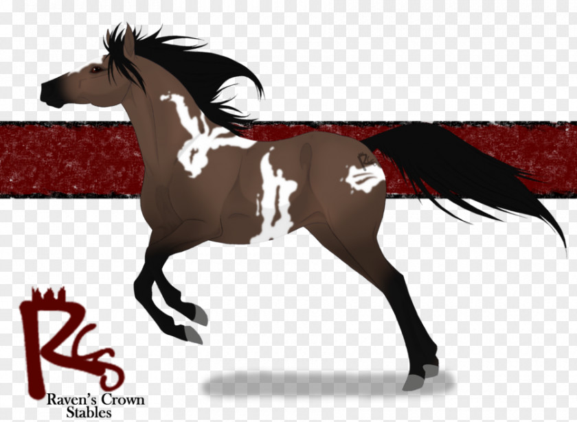 Mustang Stallion Mare Rein Pack Animal PNG