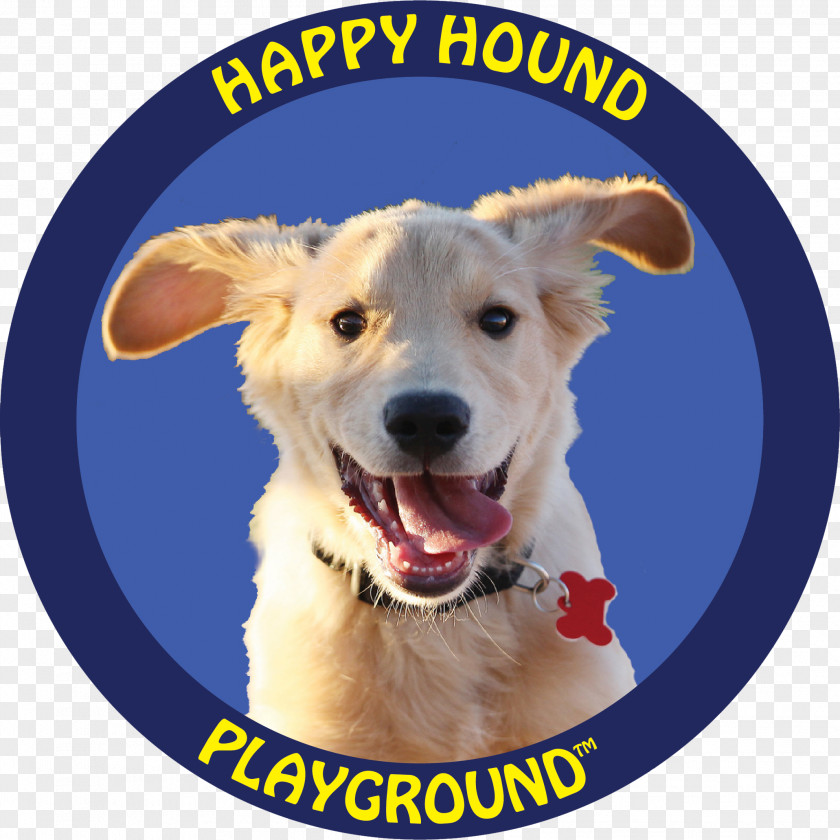 Puppy Dog Breed Pet Sitting Sporting Group PNG