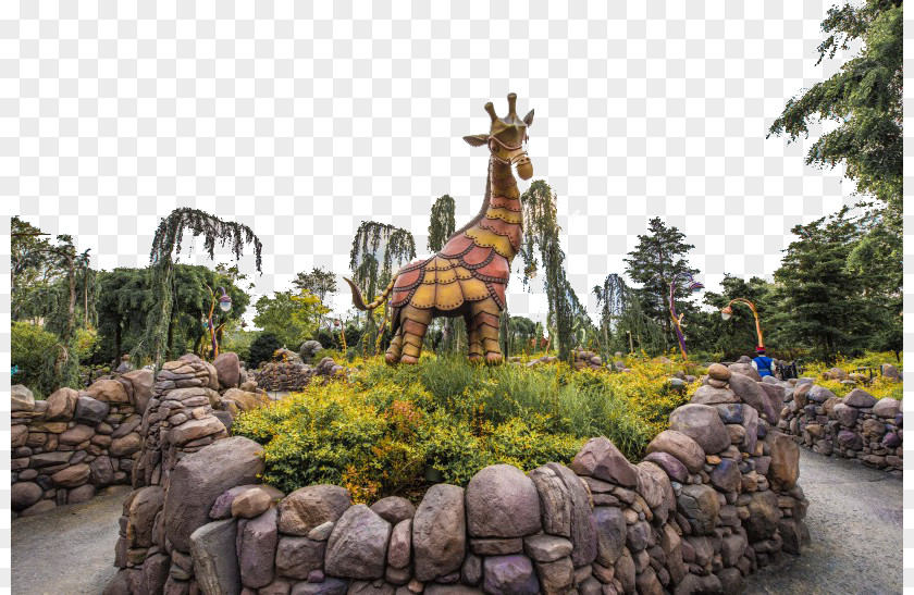 Shanghai Disneyland Sixteen Park Hong Kong Disney Resort Chuanshaxinzhen PNG