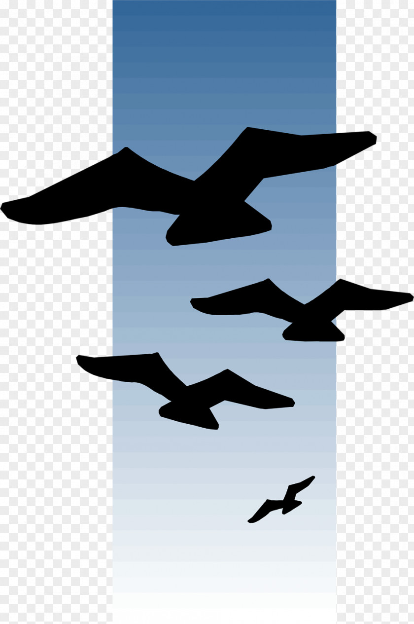 Flying Bird Flight Clip Art PNG