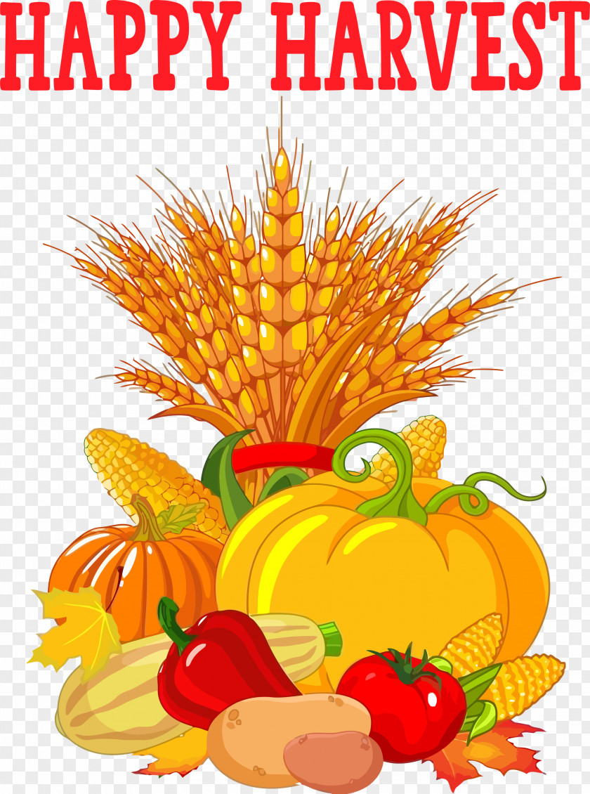 Happy Harvest Autumn Thanksgiving PNG