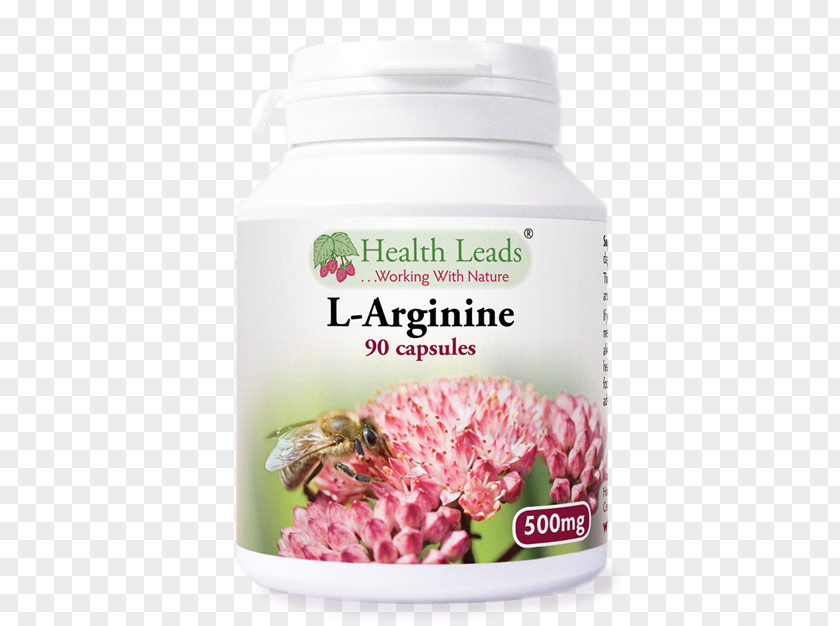 Health Dietary Supplement Capsule Lysine Acetylcarnitine Amino Acid PNG