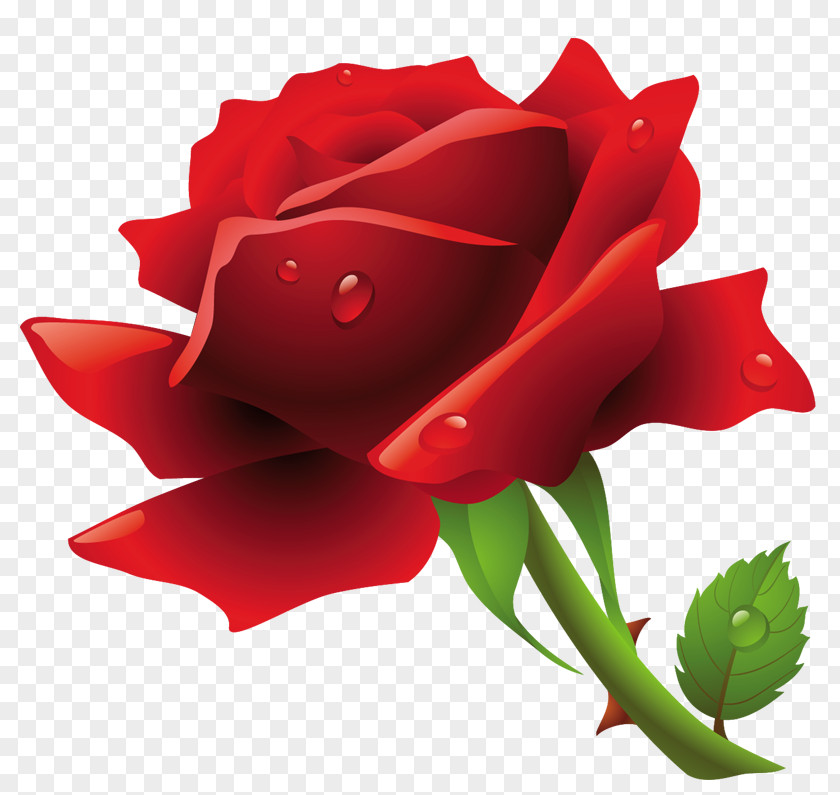 Rose Clip Art PNG