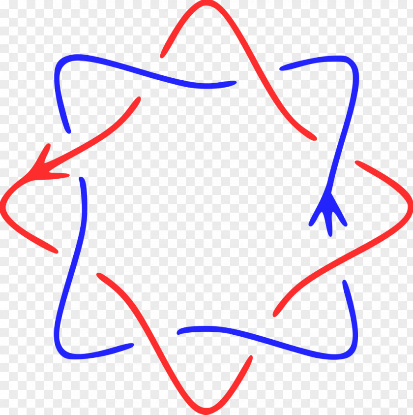 Torus Knot Theory Link PNG