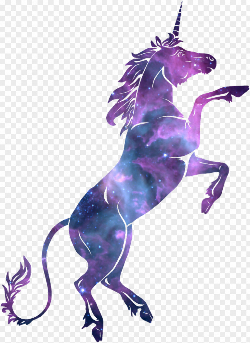 Unicorn Vector Graphics Illustration Stock Photography Drawing PNG