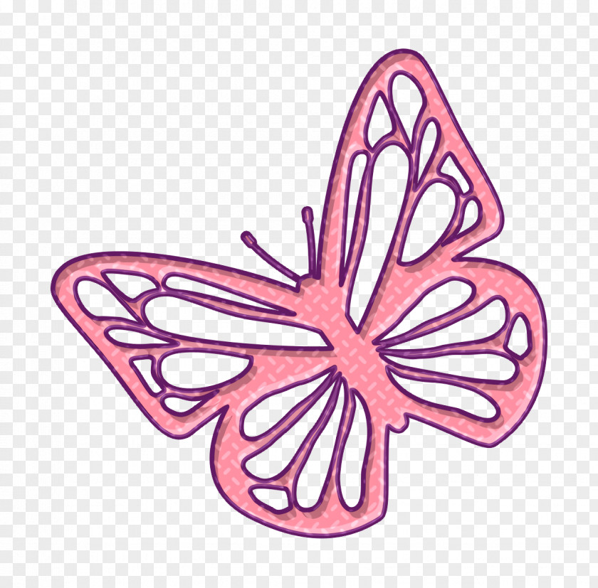 Butterfly Top View Icon Butterflies PNG