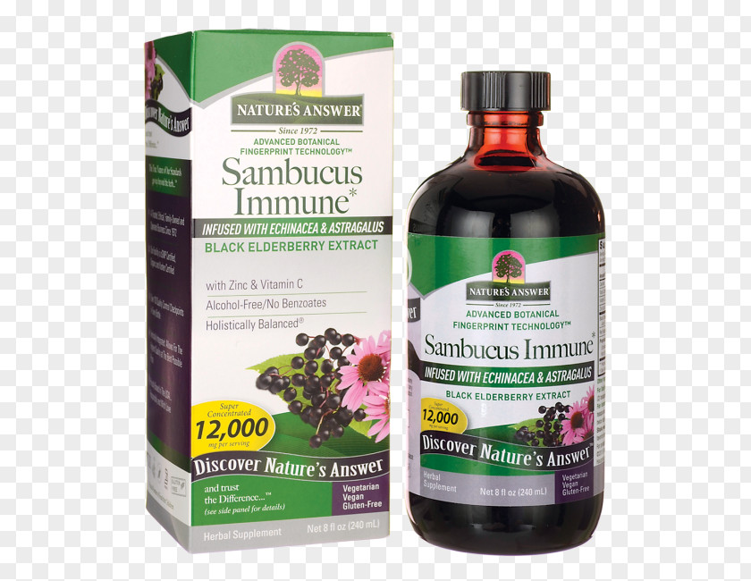 Elderberries Elder Immune System Nature Extract Dietary Supplement PNG