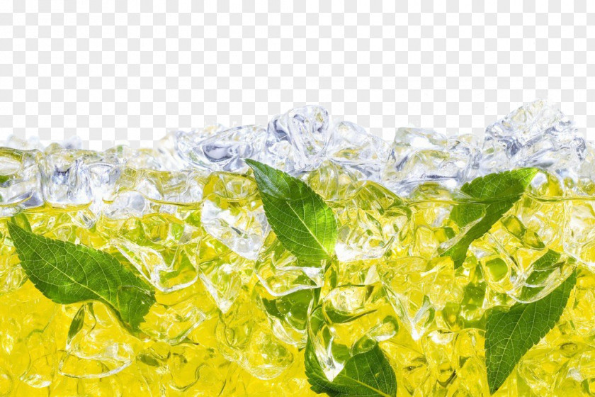 Green Tea Drink Tieguanyin Iced PNG
