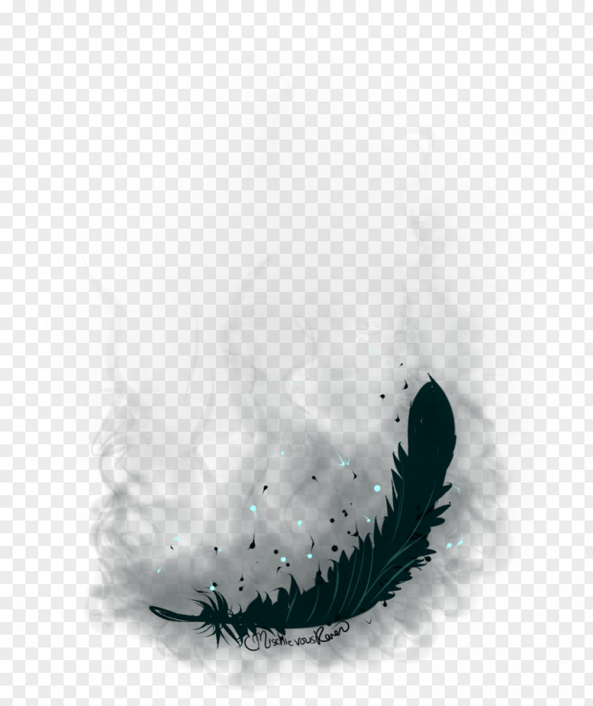 Raven Feather DeviantArt Digital Art August 7 10 Lapras PNG