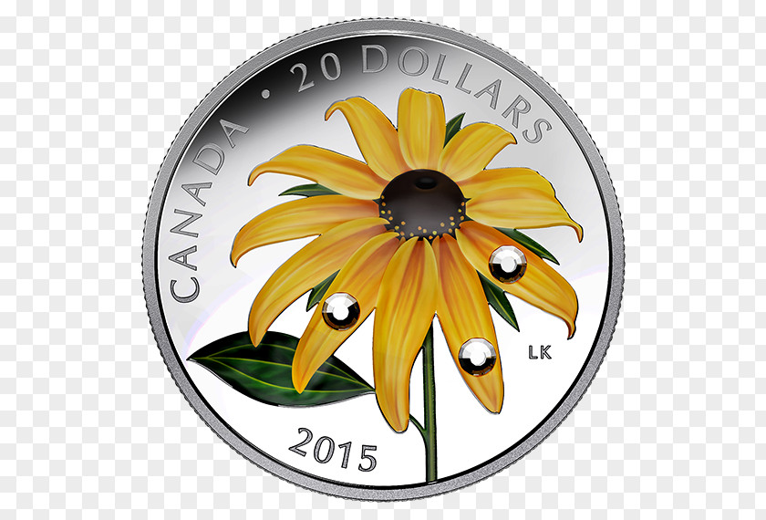 Canada Perth Mint Silver Coin Royal Canadian PNG