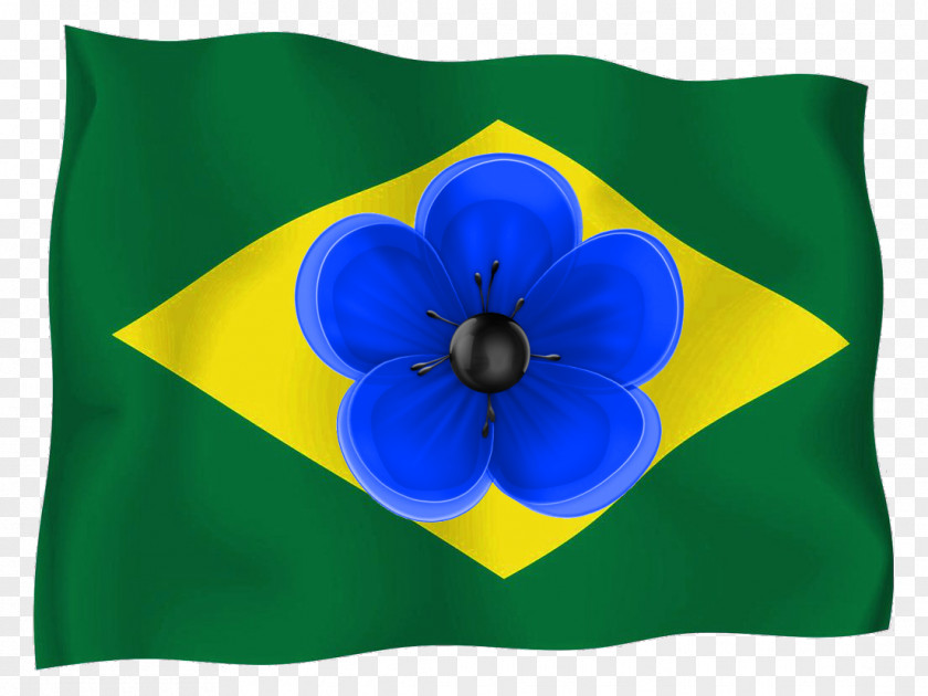 Flag Of Brazil Mexico Tocantins The United States PNG