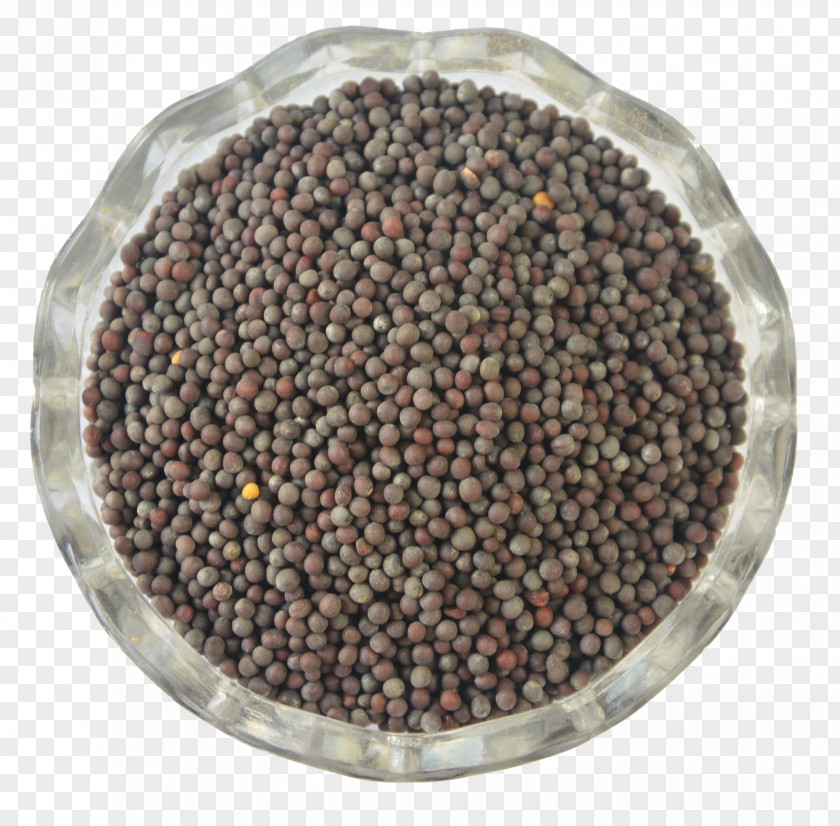 Mustard Sevruga Caviar Spice Seed Brassica Nigra PNG