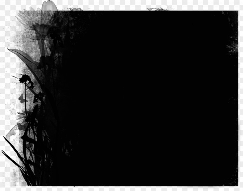 Photography Frames Black And White PNG and white , mask clipart PNG